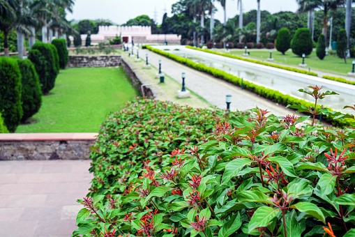 Pinjore Gardens,