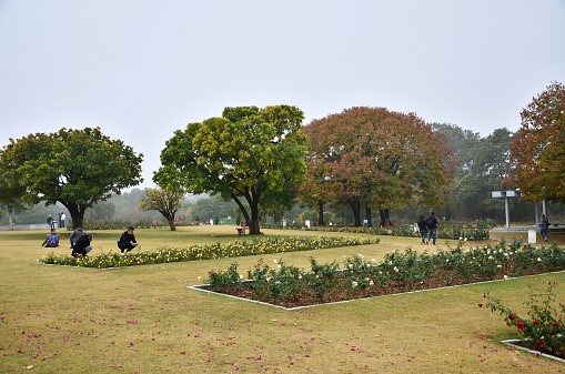 ZAKIR HUSSAIN ROSE GARDEN, CHANDIGARH